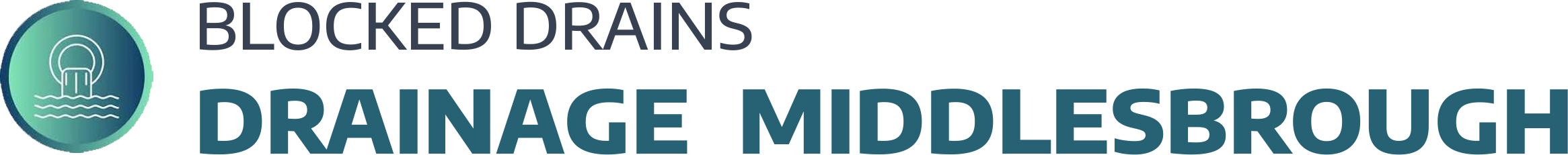 website logo